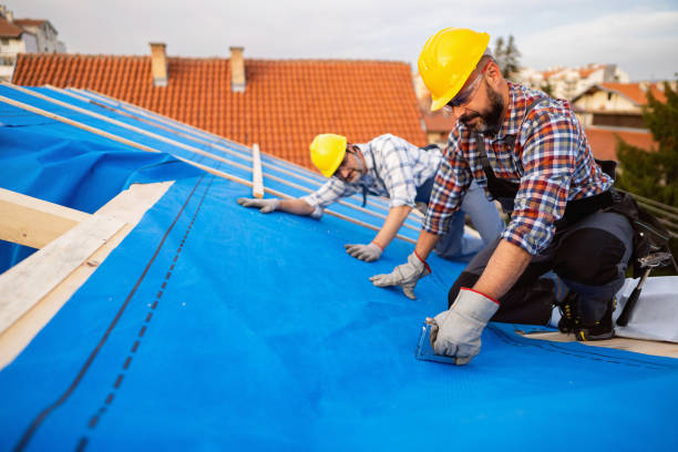 Best Gutter Installation and Repair  in Coloma, MI